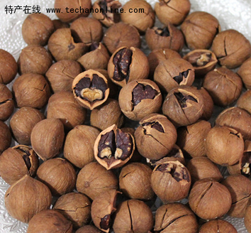绩溪山核桃