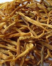 枞阳金针菜