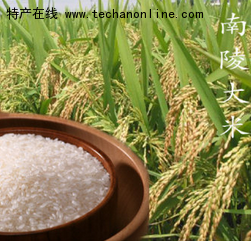南陵大米
