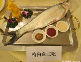 梅白鱼