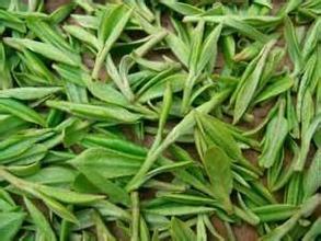 皖西绿茶