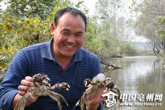茨淮新河大闸蟹