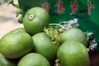 阜南萝卜