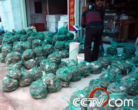 洪泽湖特色水产