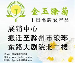 金玉滁菊