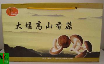 高山香菇