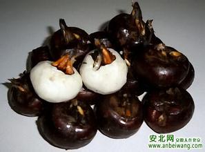 无为荸荠