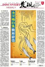 池河梅白鱼
