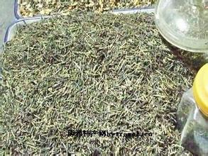 临涣棒棒茶