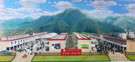 东至香菇