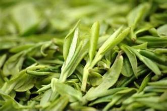 九华佛茶