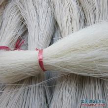利辛粉丝