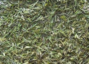 “白云春毫“茶