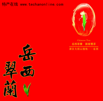 岳西翠兰