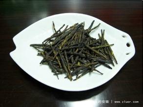 泗溪苦丁茶