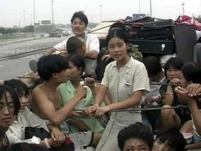 插花姚塘大棚菜