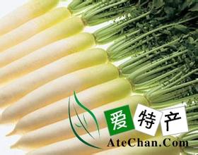 再兴圩萝卜
