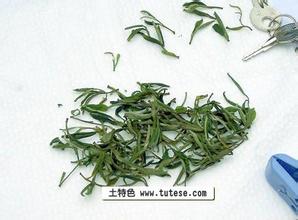 逍遥乡“横岩云雾”名茶