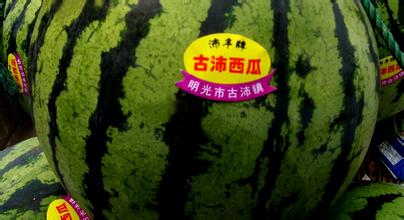 “沛丰”牌西瓜