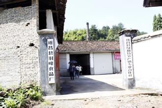 遂昌石练菊米