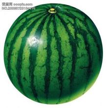 麻阳无籽西瓜