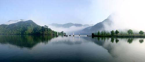 丽水椪柑