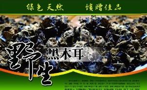 大别山木耳