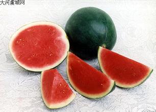 洞庭一号无籽西瓜