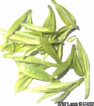 江华毛尖