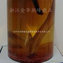 梅花鹿茸酒