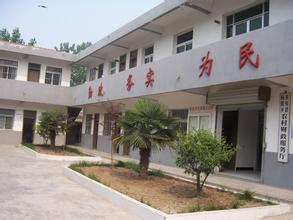 杨郢乡板栗