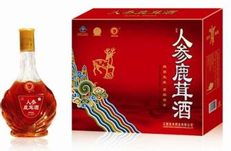 鹿茸酒