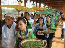 东江毛尖茶