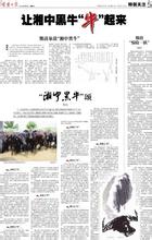 湘中黑牛