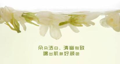 长沙茉莉花茶