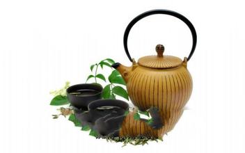 云山芽茶