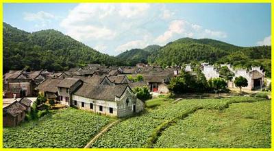 祁阳油茶