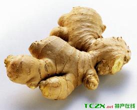 托口生姜
