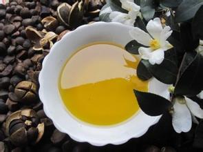 沼山茶油