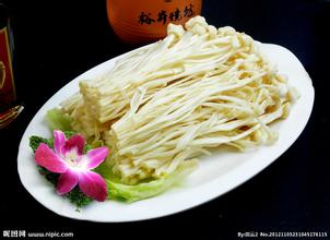 沙洋金针菇