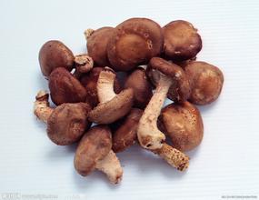 香菌