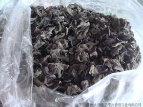 大洪山黑木耳