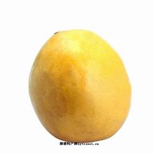 枣阳金丰金香柚