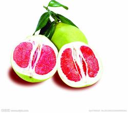 松滋蜜柚