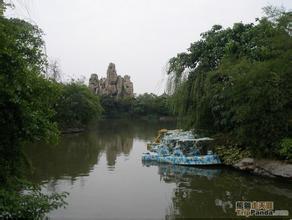 盘龙鳝俏“走”天涯