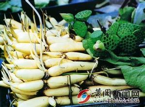 芝麻湖藕
