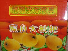 蒙自大枇杷