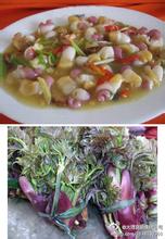 漾濞树头菜