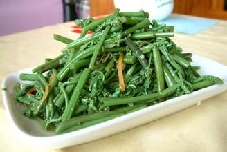 房县山野菜