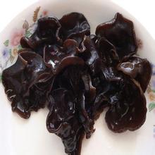 红河木耳